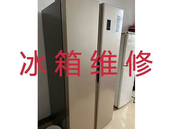 杭州冰箱冰柜维修上门服务